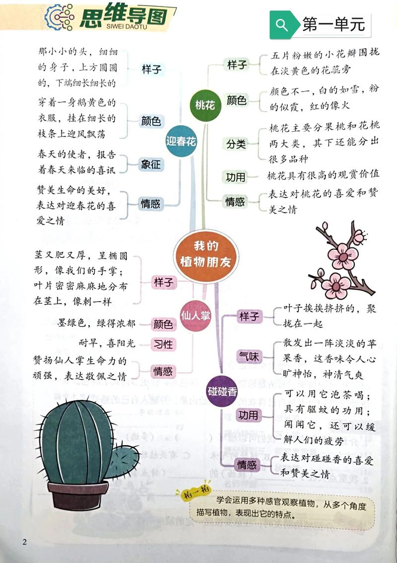 2024澳门开奖图,绝对策略计划研究_社交版40.12.0