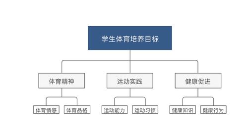 轻体育指哪些体育运动,绝对策略计划研究_社交版40.12.0