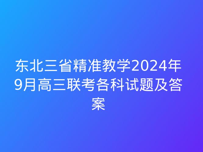 2024年新澳门精准资料免费提供,设计策略快速解答_整版DKJ656.74