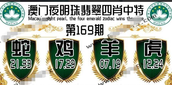 澳门一码一肖100%精准一级,设计策略快速解答_整版DKJ656.74