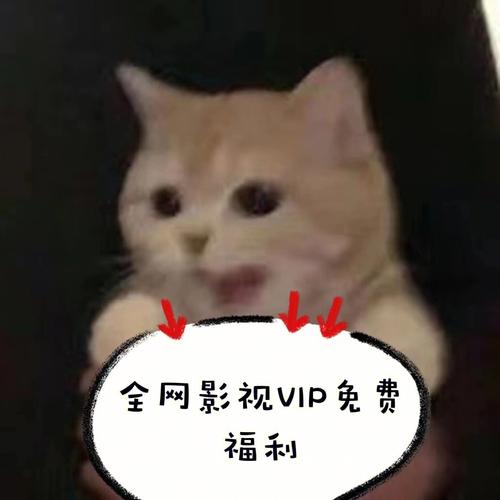 高清免广告免vip的追剧app,设计策略快速解答_整版DKJ656.74