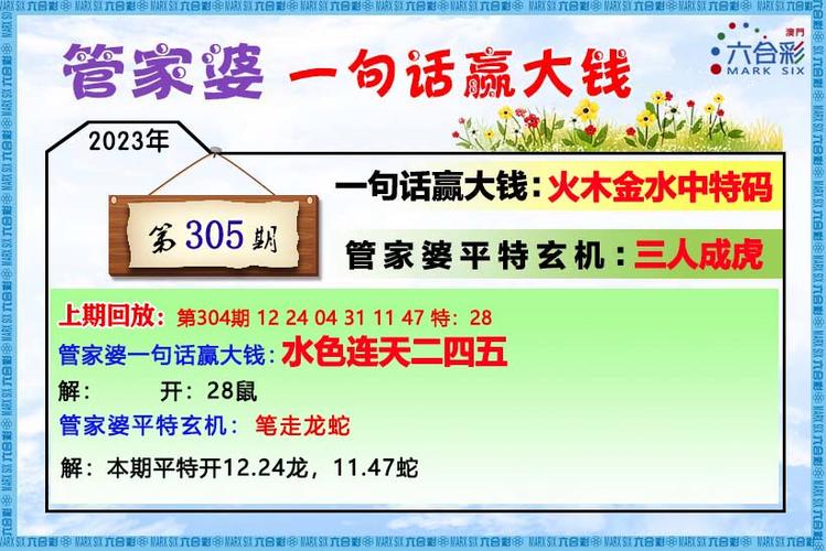 2023澳门正版资料大全免费大全彩图,设计策略快速解答_VR型43.237