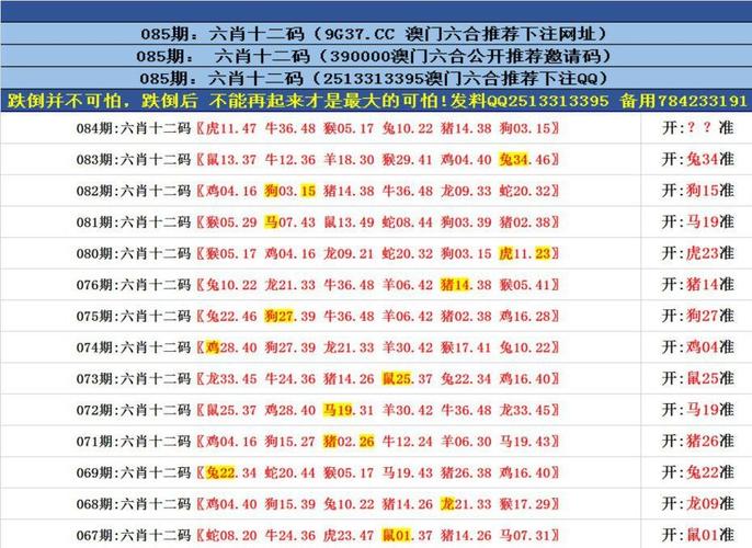 澳门六合正版资料开奖记录,设计策略快速解答_整版DKJ656.74