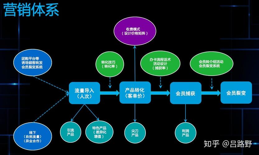 正版资料免费的大全