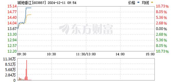 2025年1月17日 第14页