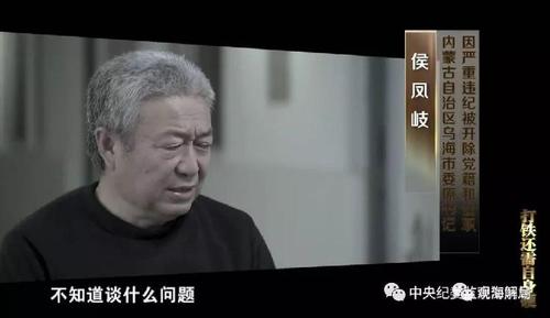 贪官将赃款埋地里,绝对策略计划研究_社交版40.12.0