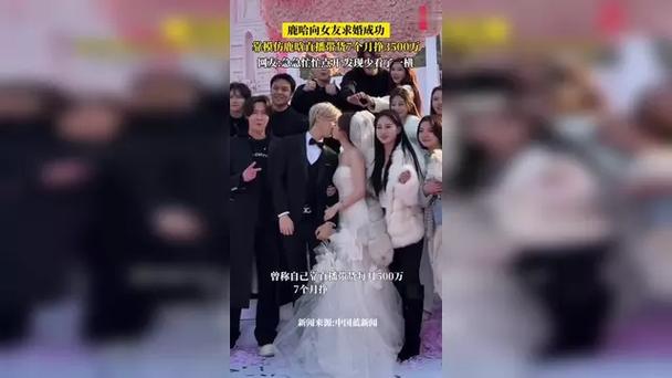 鹿哈向女友求婚成功,设计策略快速解答_VR型43.237