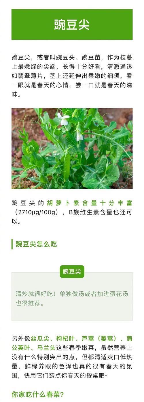 立春后多吃8种蔬菜,设计策略快速解答_整版DKJ656.74