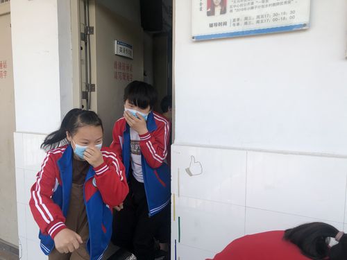 学校火灾致17人死亡,设计策略快速解答_整版DKJ656.74