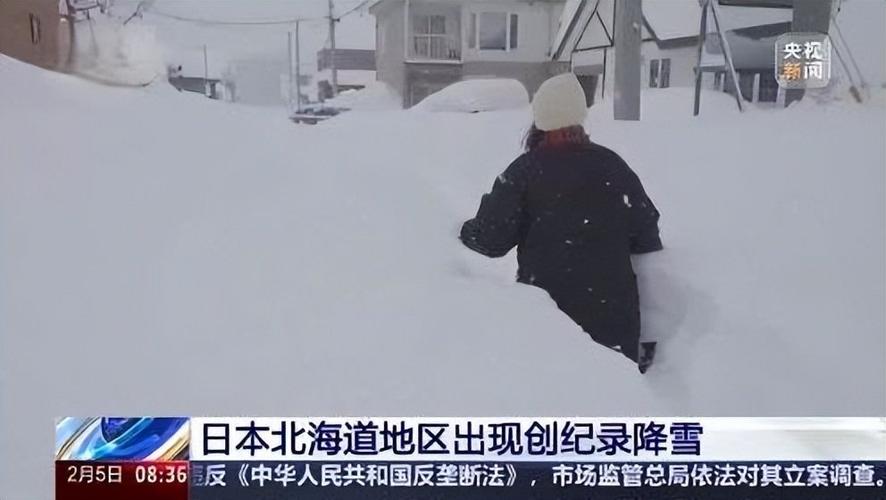 日本强降雪已致12死,设计策略快速解答_VR型43.237