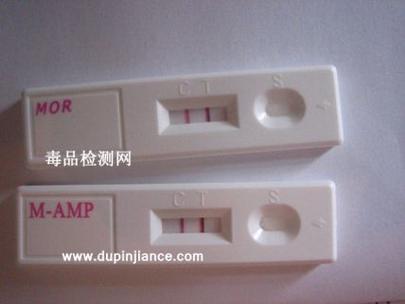 空乘因尿检阳性停职,绝对策略计划研究_社交版40.12.0