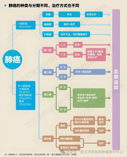 18岁抗癌网红去世,设计策略快速解答_整版DKJ656.74