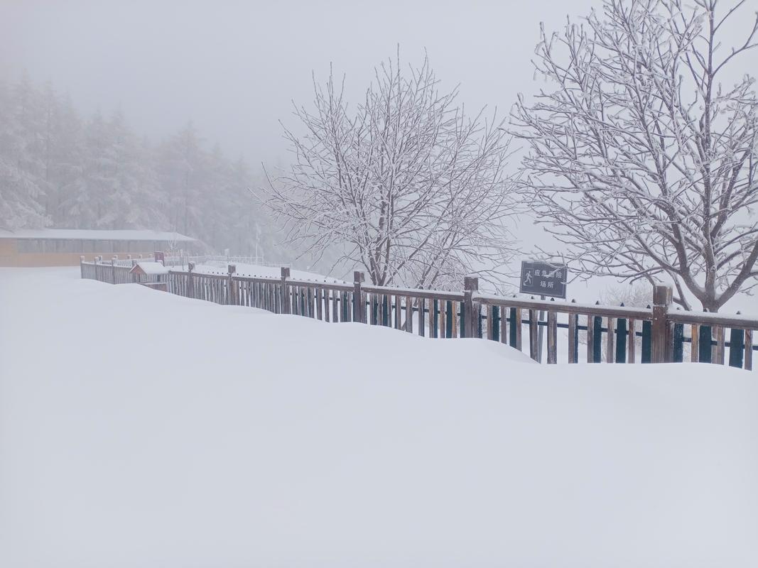 石家庄大雪,设计策略快速解答_整版DKJ656.74