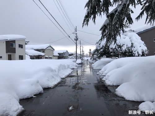 日本积雪最厚达5米,绝对策略计划研究_社交版40.12.0