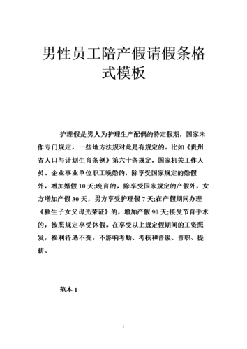 建议延长男性陪产假,设计策略快速解答_VR型43.237