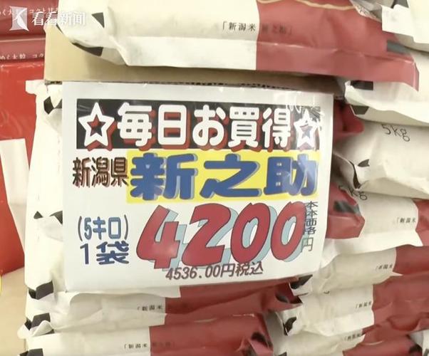 日本米价暴涨90%,设计策略快速解答_整版DKJ656.74