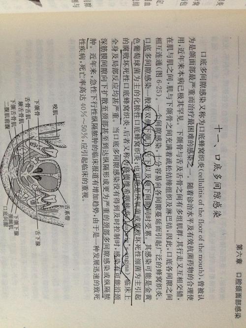 牙齿会影响整个身体