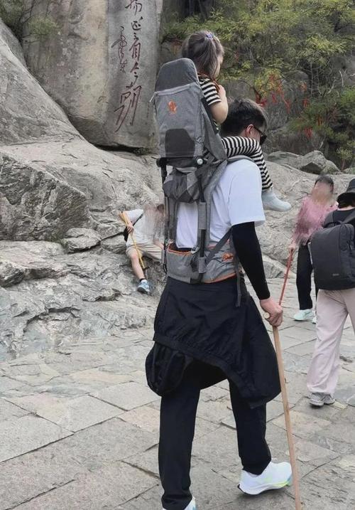 泰山陪爬月入5位数,设计策略快速解答_VR型43.237