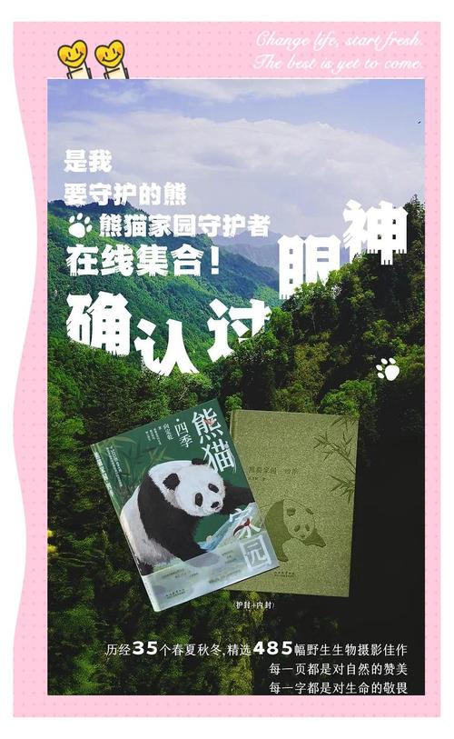 游客偶遇野生大熊猫,设计策略快速解答_整版DKJ656.74